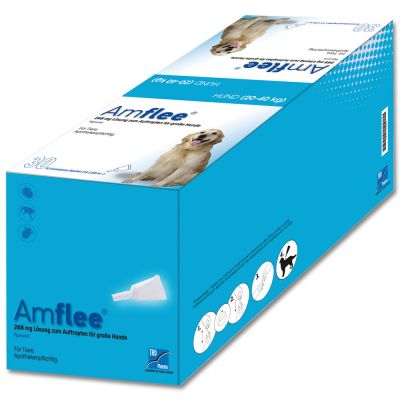 Amflee 268 mg Lösung zum Auftropfen für große Hunde