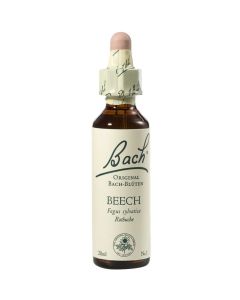 Bach-Blüte Beech-20 ml