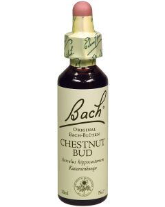 Bach-Blüte Chestnut Bud-20 ml
