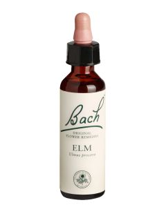 Bach-Blüte Elm-20 ml