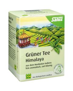 GRÜNER TEE Himalaya Bio Salus Filterbeutel