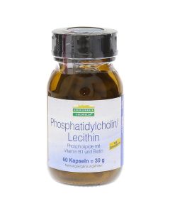 PHOSPHATIDYLCHOLIN/Lecithin Phospholipide Kapseln